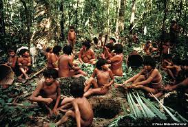 Barroso dá 5 dias para governo Bolsonaro explicar situação dos Yanomamis ao STF