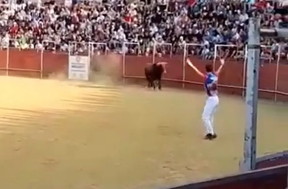A vingança do touro! Homem leva chifrada no peito e morre em tourada na Espanha; veja vídeo