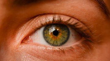 Marco na medicina: cirurgiões anunciam nos Estados Unidos o primeiro transplante de um olho inteiro