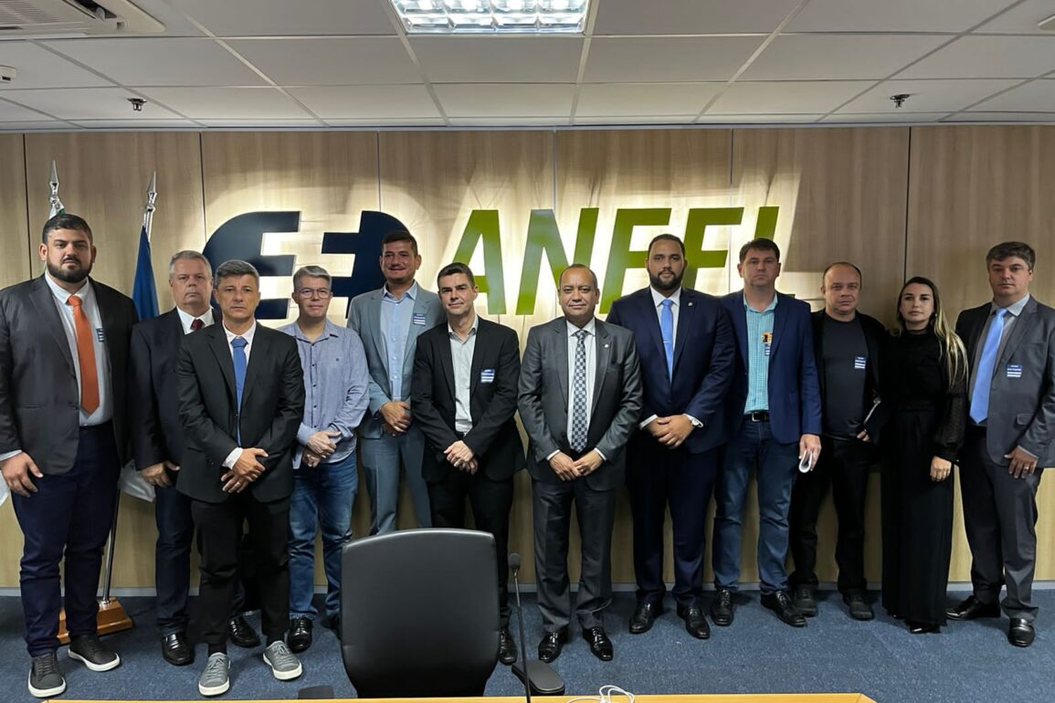Deputados, prefeitos e vereadores do Rio se queixam em Brasília dos péssimos serviços prestados pela Enel