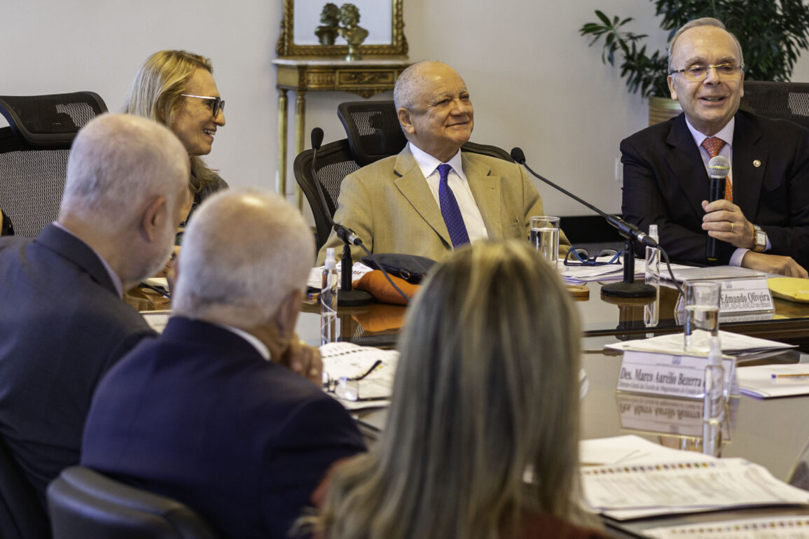 TJRJ sedia reunião para definir programa de Colóquio da FIPP-ONU – Rio 2024