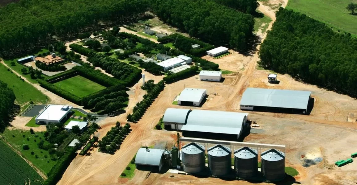 Justiça suspende registros de 19 fazendas na Bahia por desmatamento e violência contra agricultores
