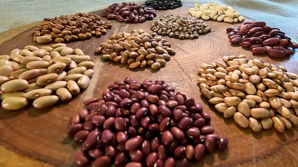 Lotes de feijão das marcas Da Mamãe e Sanes são recolhidos pelo governo; produtos contêm grãos mofados e fermentados acima do limite