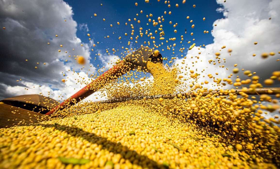 Produção de grãos atinge recorde e tem alta de 18,4% em 2022/2023