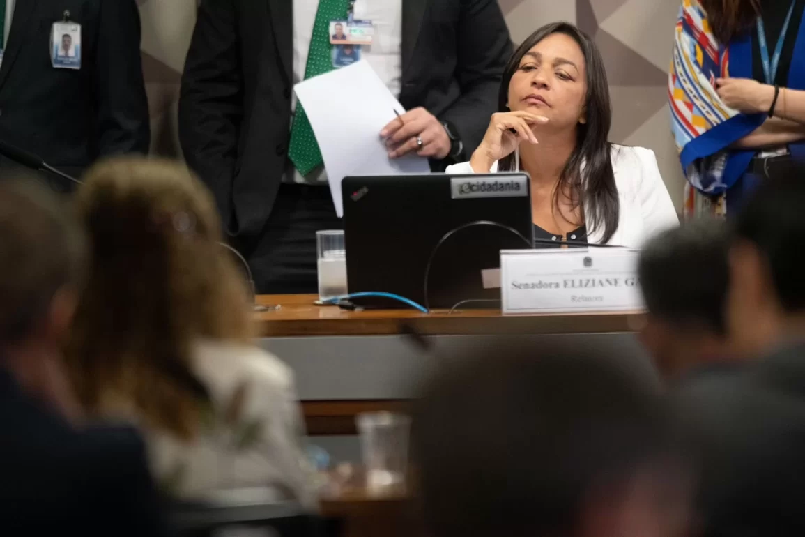 Relatora da CPMI do 8 de Janeiro lista depoimentos prioritários e acareação na reta final