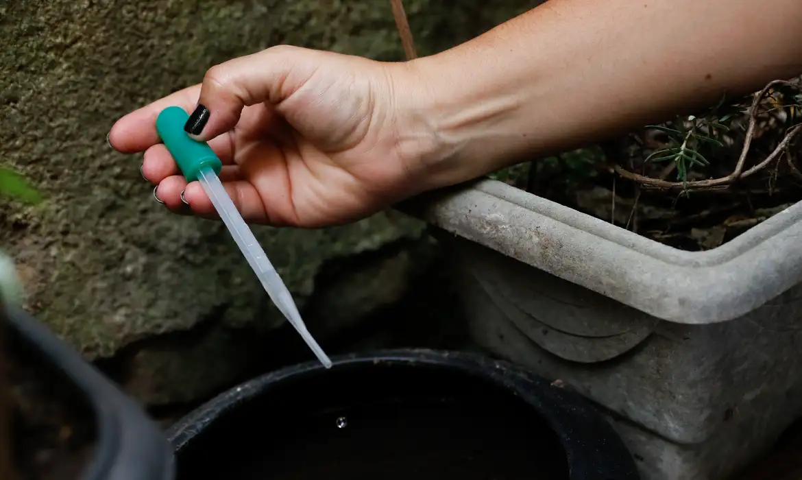 Casos de dengue crescem 17,5%; medidas simples podem evitar proliferação do mosquito