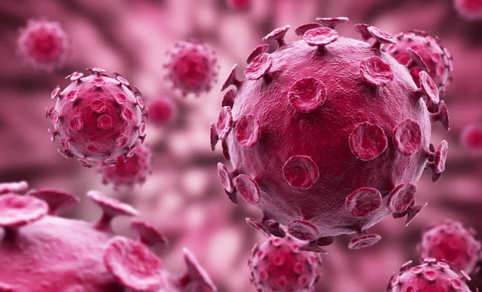 Organização Mundial de Saúde alerta para risco de “Doença X”, potencialmente mais mortal que a Covid-19