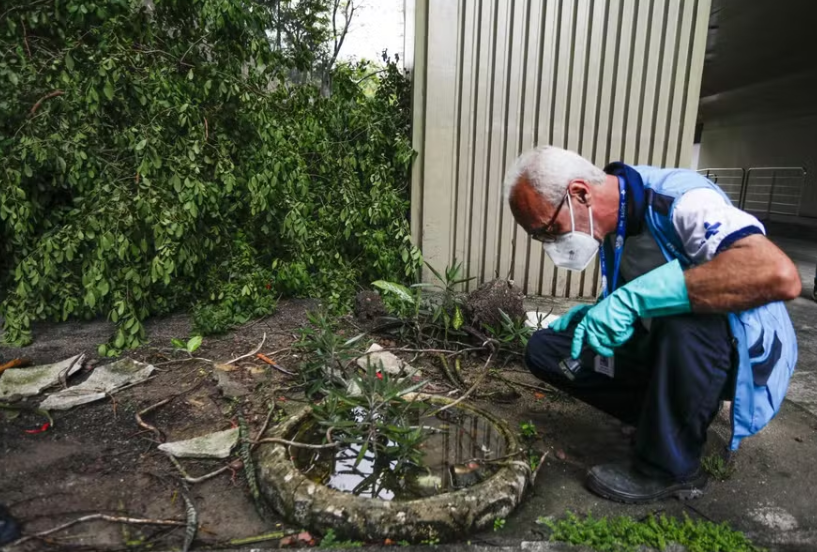 Dia D de combate à dengue: governo federal organiza mobilização para erradicar focos