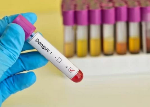 Brasil já tem 391 mortes por dengue em 2024, segundo dados do Ministério da Saúde