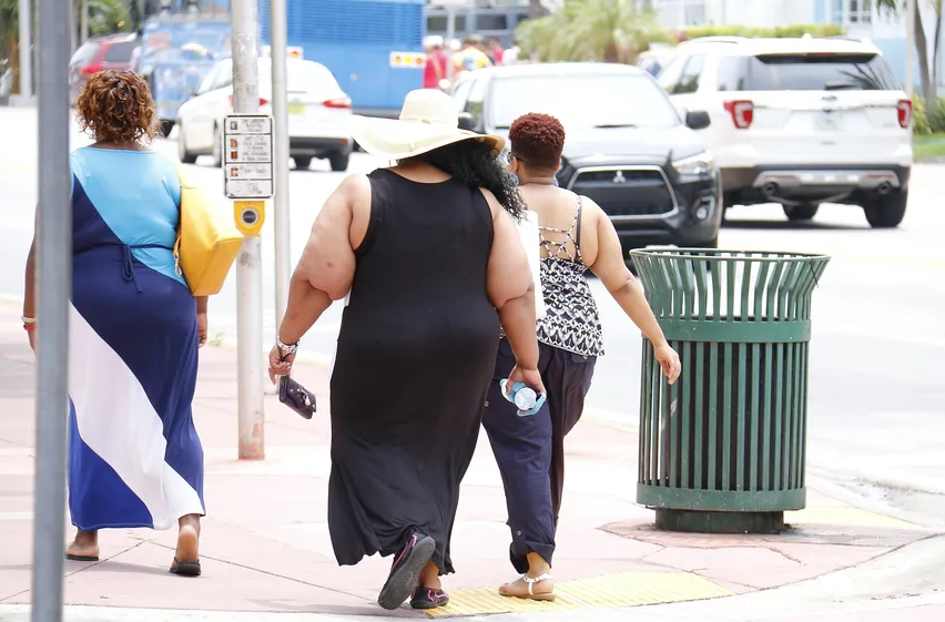 Instituto Nacional de Cardiologia alerta para aumento da obesidade no Brasil