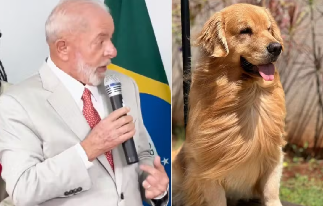 Lula usa gravata para homenagear cachorro e cobra que Gol preste contas por morte de Joca (veja o vídeo)