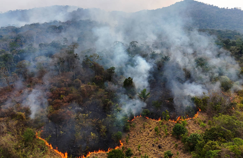 Brasil registra recorde histórico de queimadas nos quatro primeiros meses de 2024