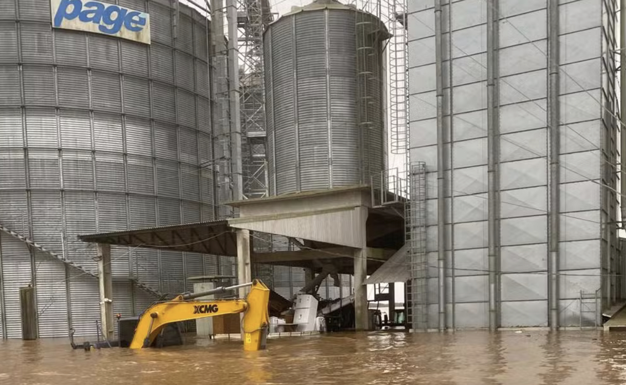 Analistas apontam que destruição de lavouras de soja no RS pode encarecer carnes e óleo