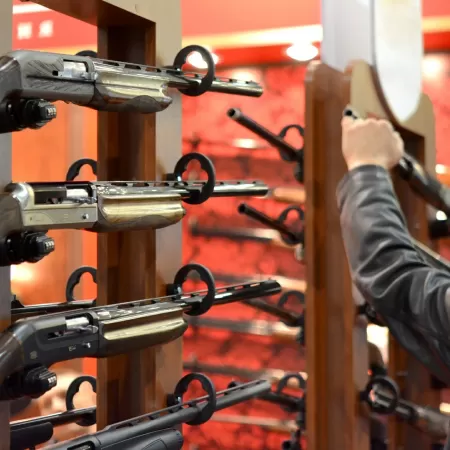 Em acordo com governo, Câmara suspende trechos do decreto que restringia acesso de civis a armas de fogo