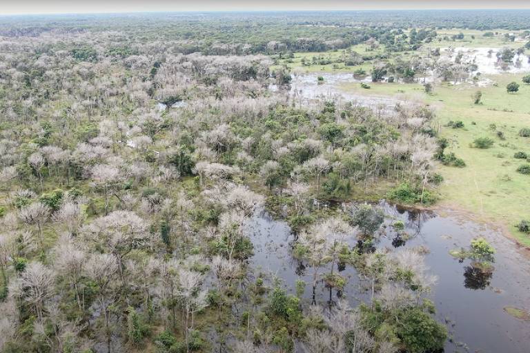 Pecuarista suspeito de usar agrotóxico da Guerra do Vietnã para desmatar Pantanal recebeu empréstimos públicos