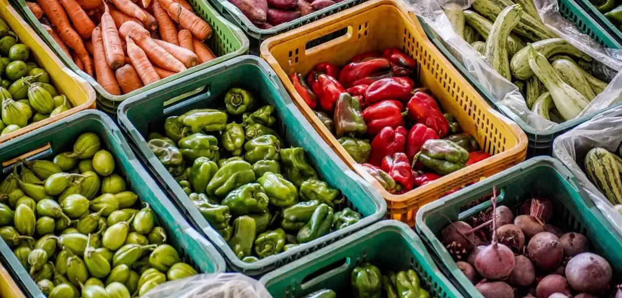 FAO alerta para aumento global do preços dos alimentos provocado por guerra no Oriente Médio