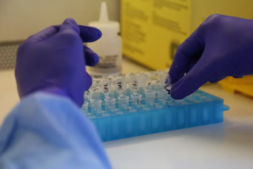 Estado do Rio já registrou 190 casos de Mpox este ano; tire dúvidas sobre a doença