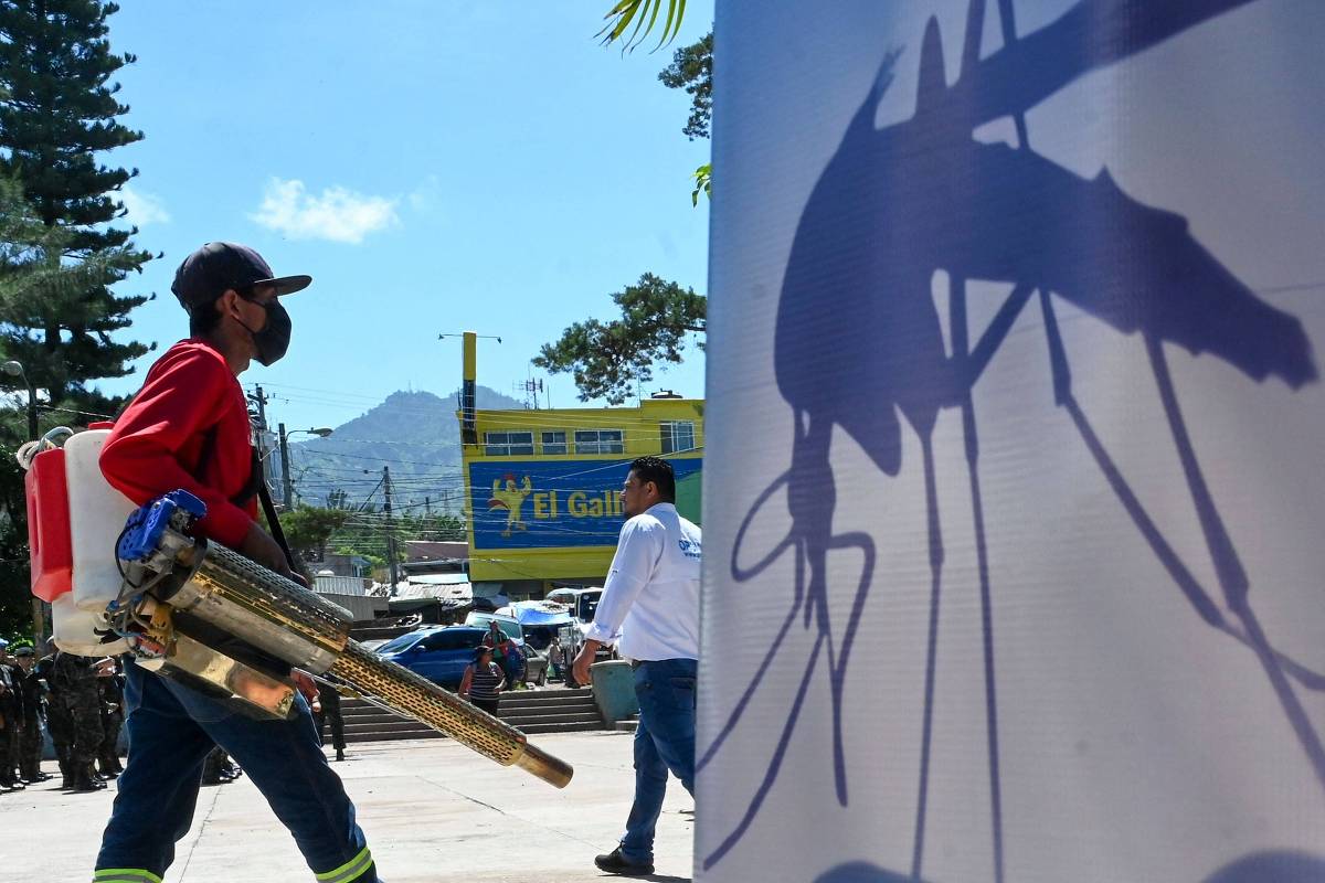 Estudo aponta que quase um quinto dos casos de dengue pode ser atribuído à mudança climática