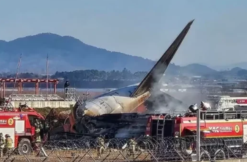 Penas de pássaros em turbina de avião que explodiu reforçam hipótese de colisão com aves