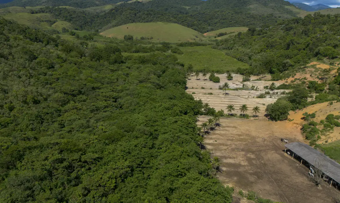Depois da catástrofe ambiental: caminhos não capitalistas para um mundo ferido