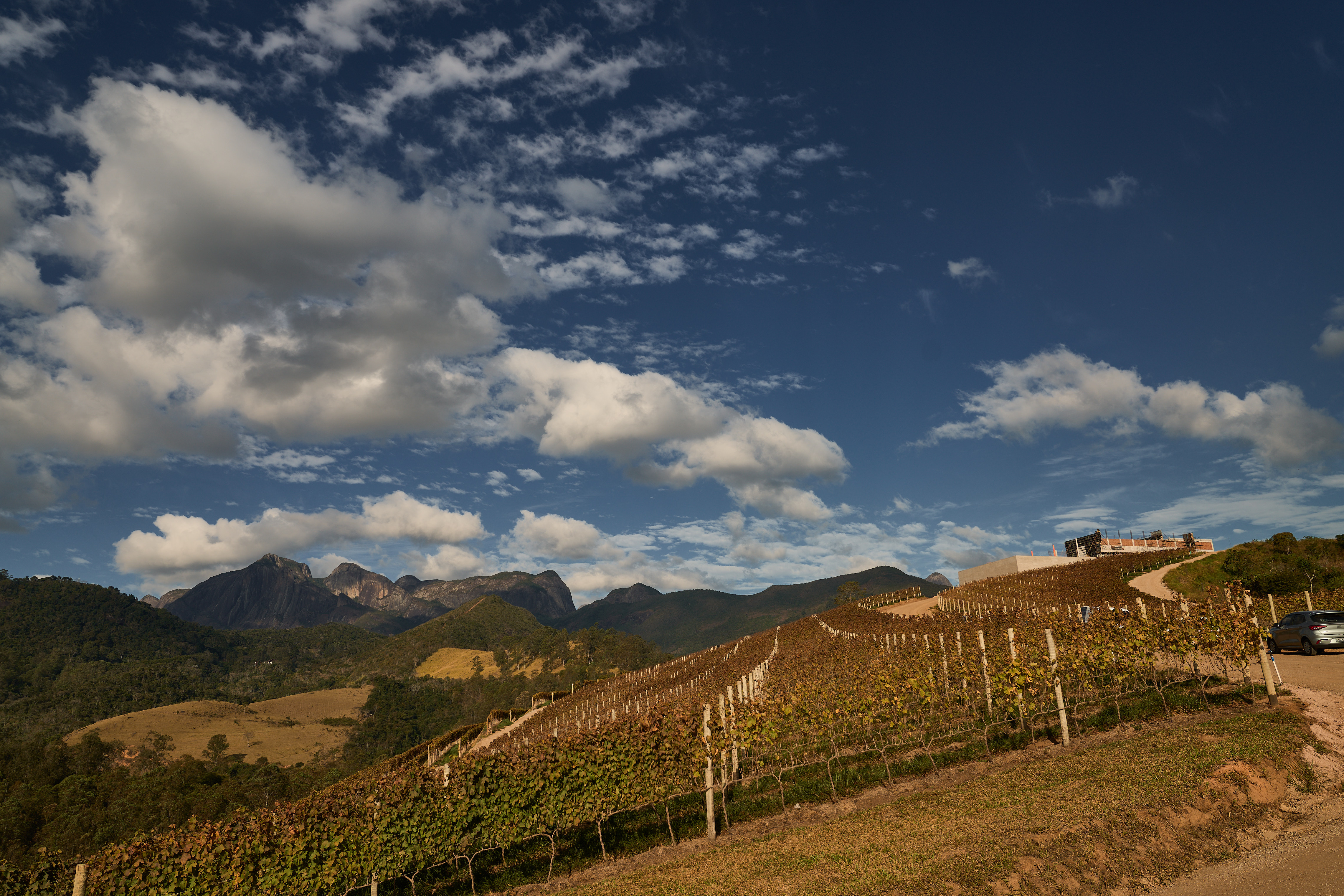 Rio vai sediar 1º Festival de Vinhos produzidos no estado