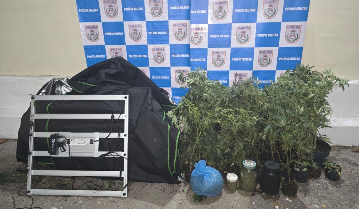 Marijuana plantation seized by mistake inside a house in Niterói
