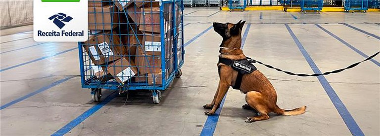 Cão de faro da Receita Federal ajuda a apreender drogas escondidas em encomendas no Rio