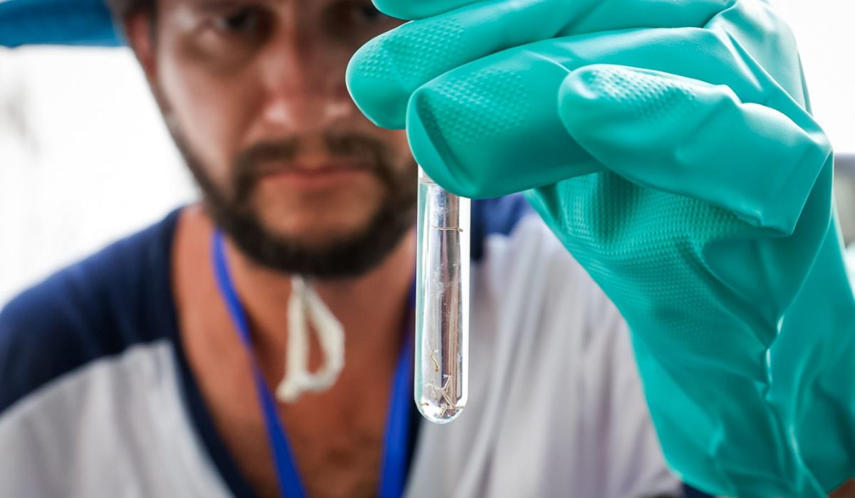 Saúde intensifica ações contra dengue em 11 bairros do Rio