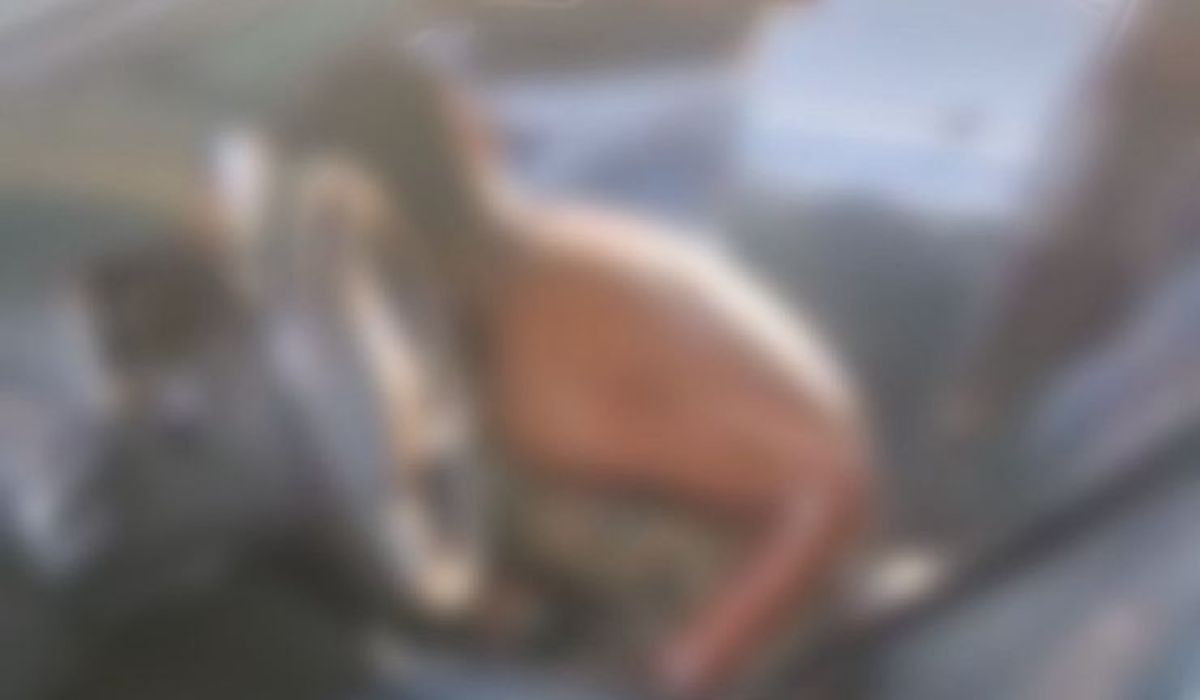 Traficante morre em confronto com a PM na Zona Oeste