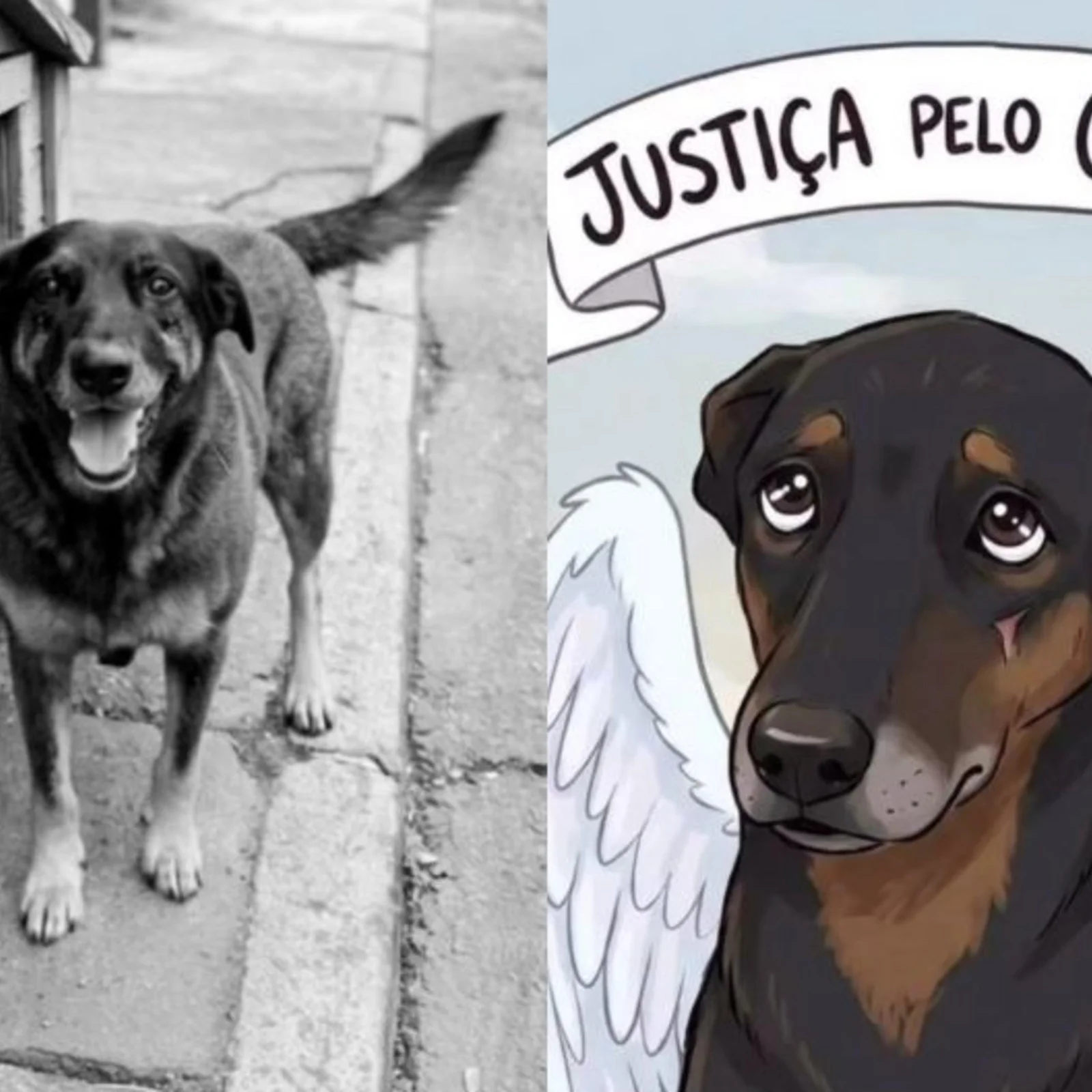 Defesa questiona provas e aponta politização no indiciamento de menor no caso Orelha