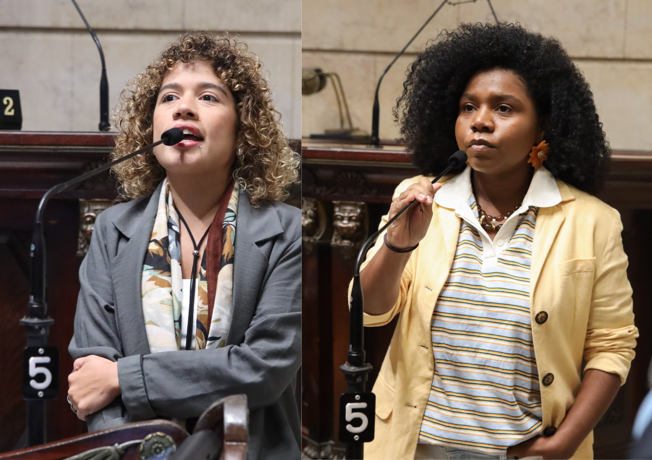 Caso de estupro coletivo em Copacabana repercute na Câmara do Rio