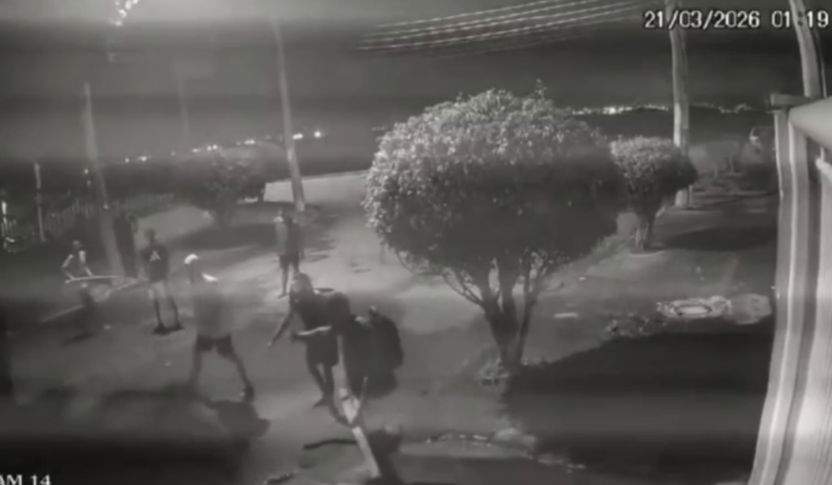 Como maus-tratos a animais podem estar ligados a grupos de ódio na web