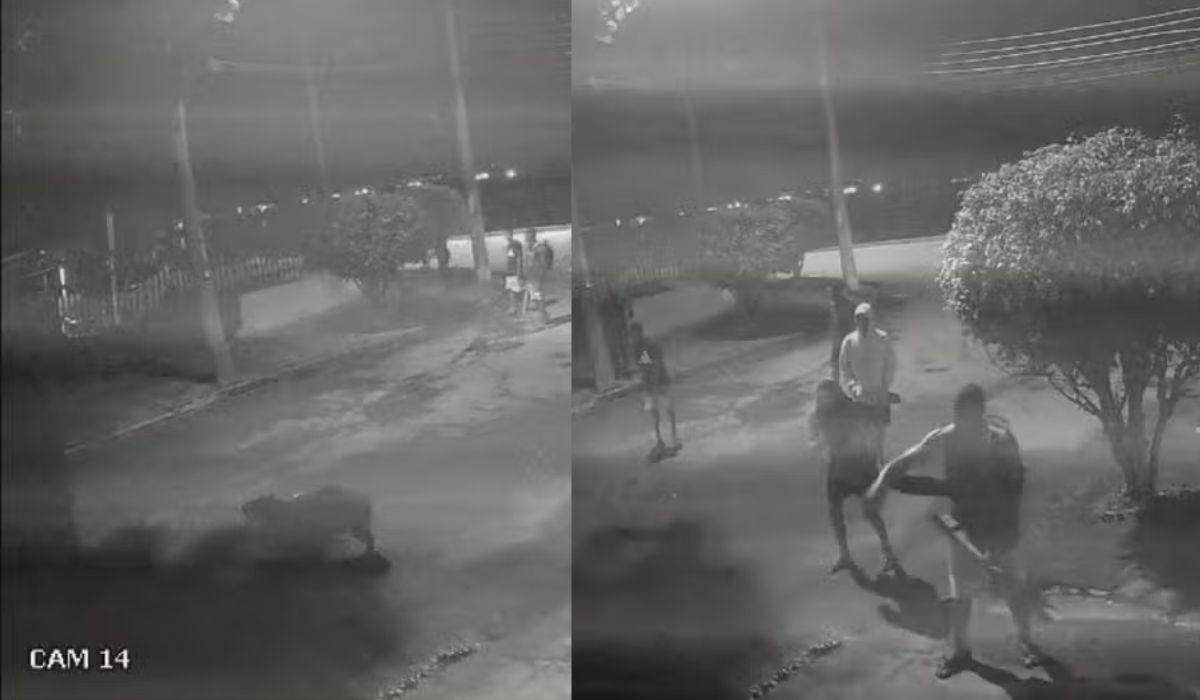 Homens que agrediram capivara na Ilha são multados pelo Ibama