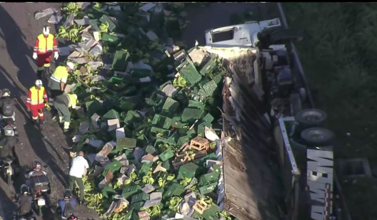 Acidente grave entre ônibus e caminhão deixa dois feridos e interdita a BR-116