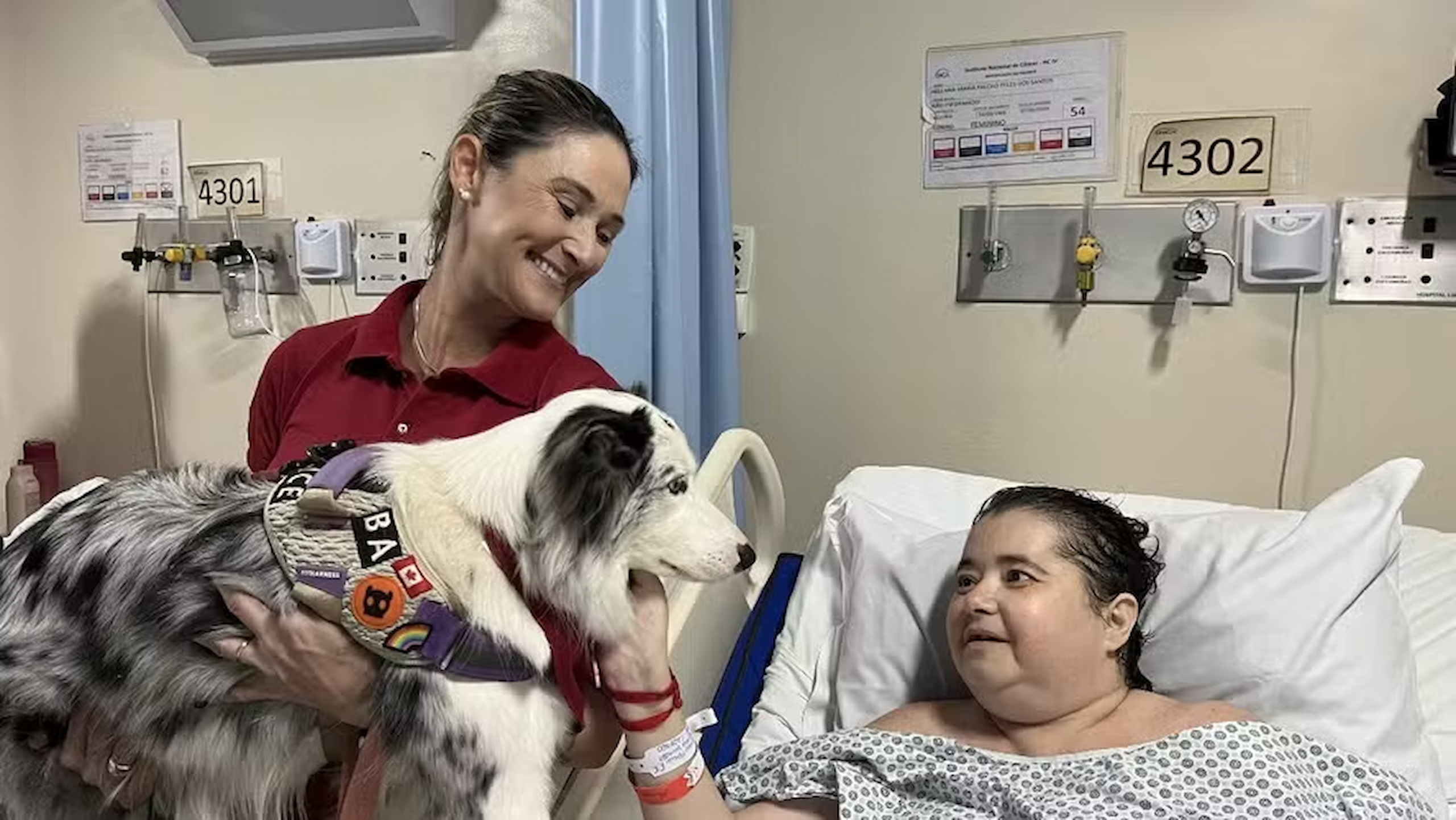 Regulamentação de terapias com animais avança em primeira votação