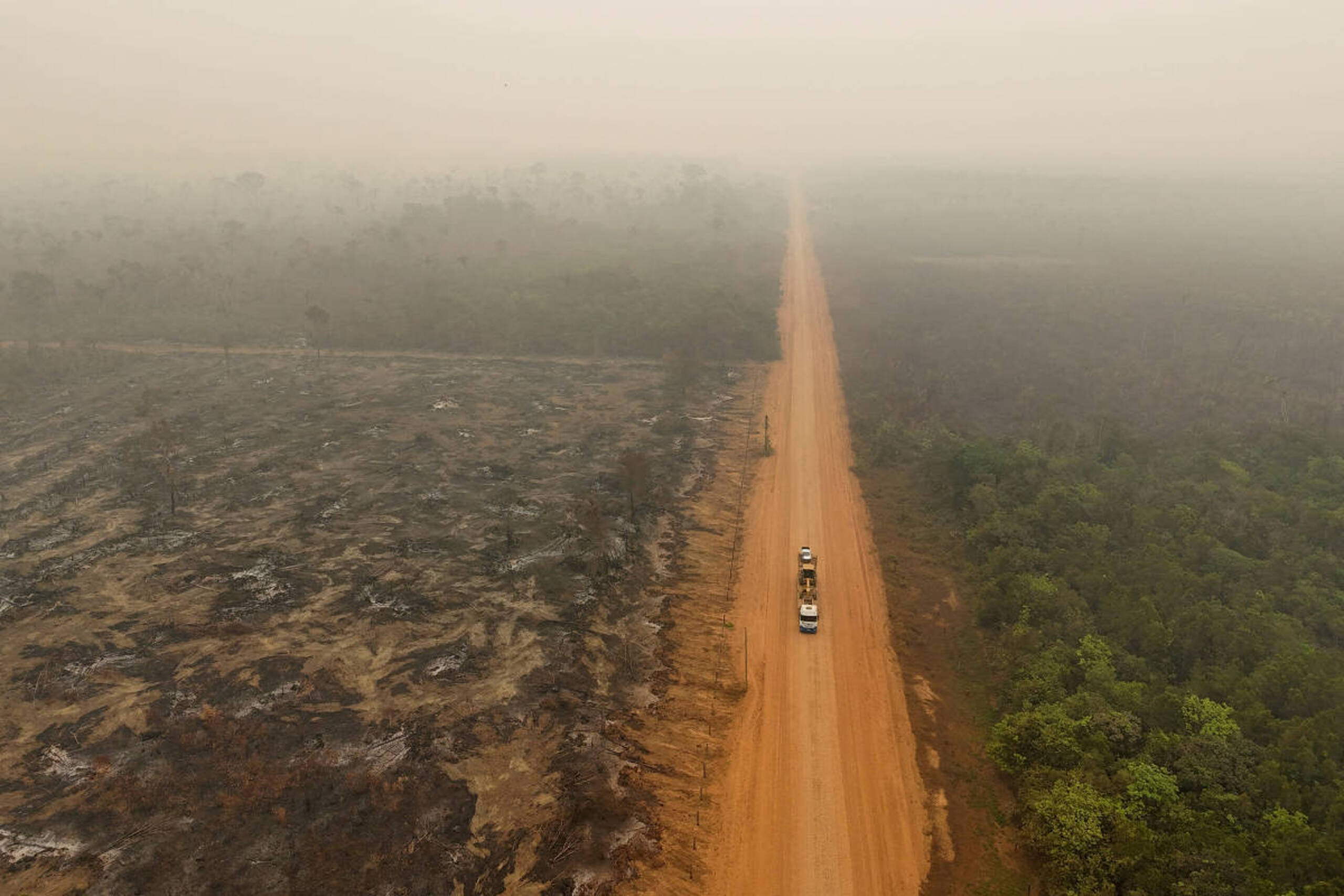 Relatório aponta que perda de florestas tropicais diminuiu 36% em 2025 após recorde