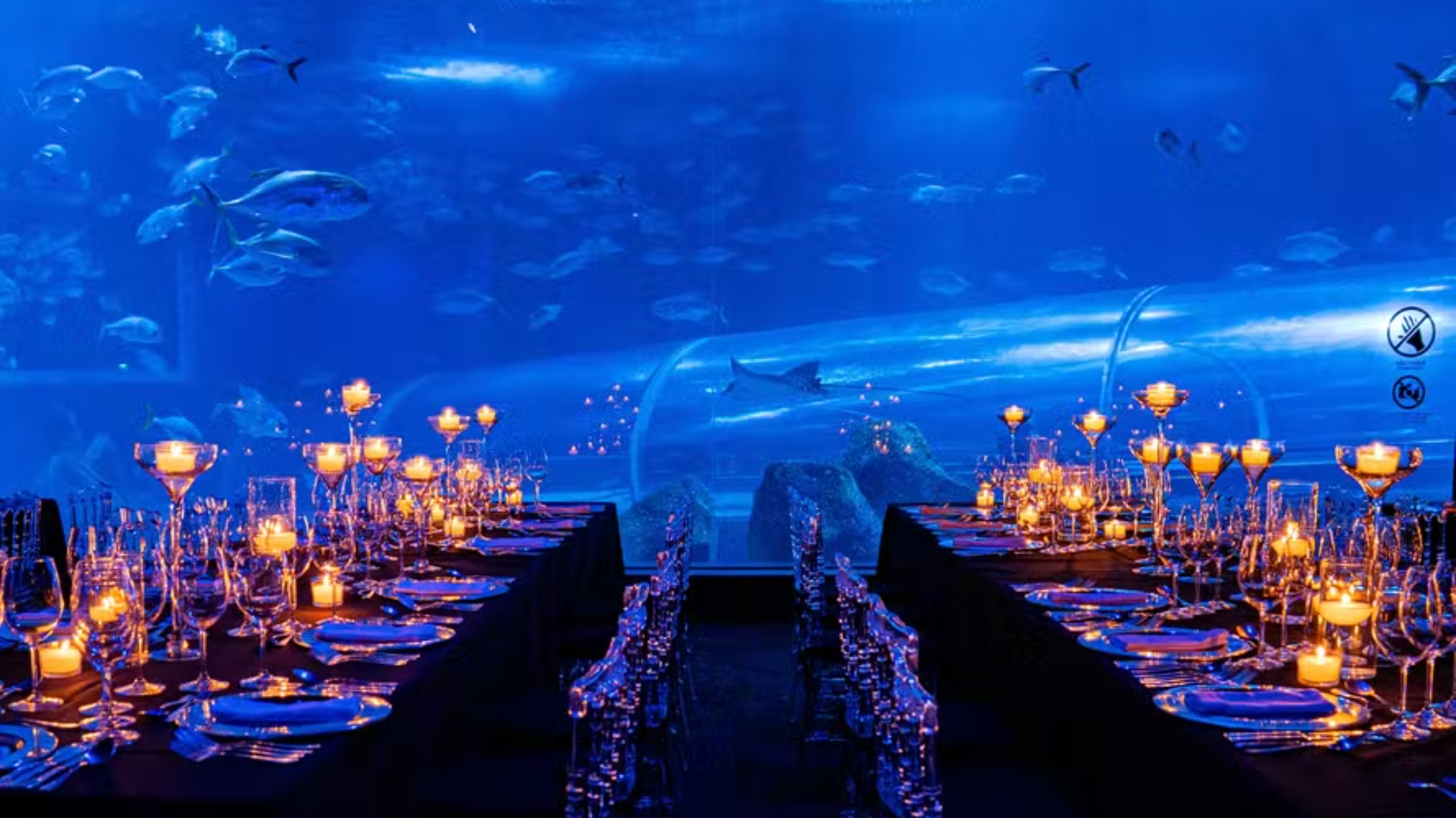 Jantar no AquaRio: experiência exclusiva ao lado de tanque oceânico custa R$ 1.400