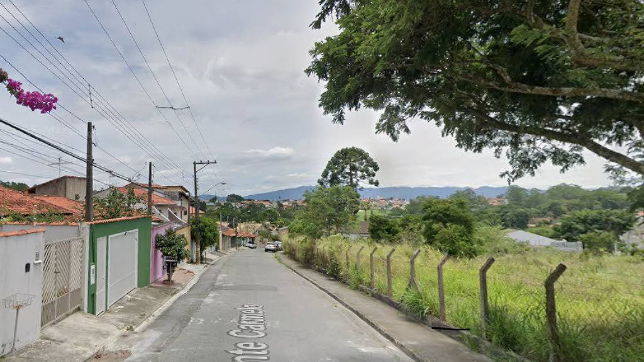 Mulher é encontrada decapitada no quintal de casa em Mogi das Cruzes (SP)