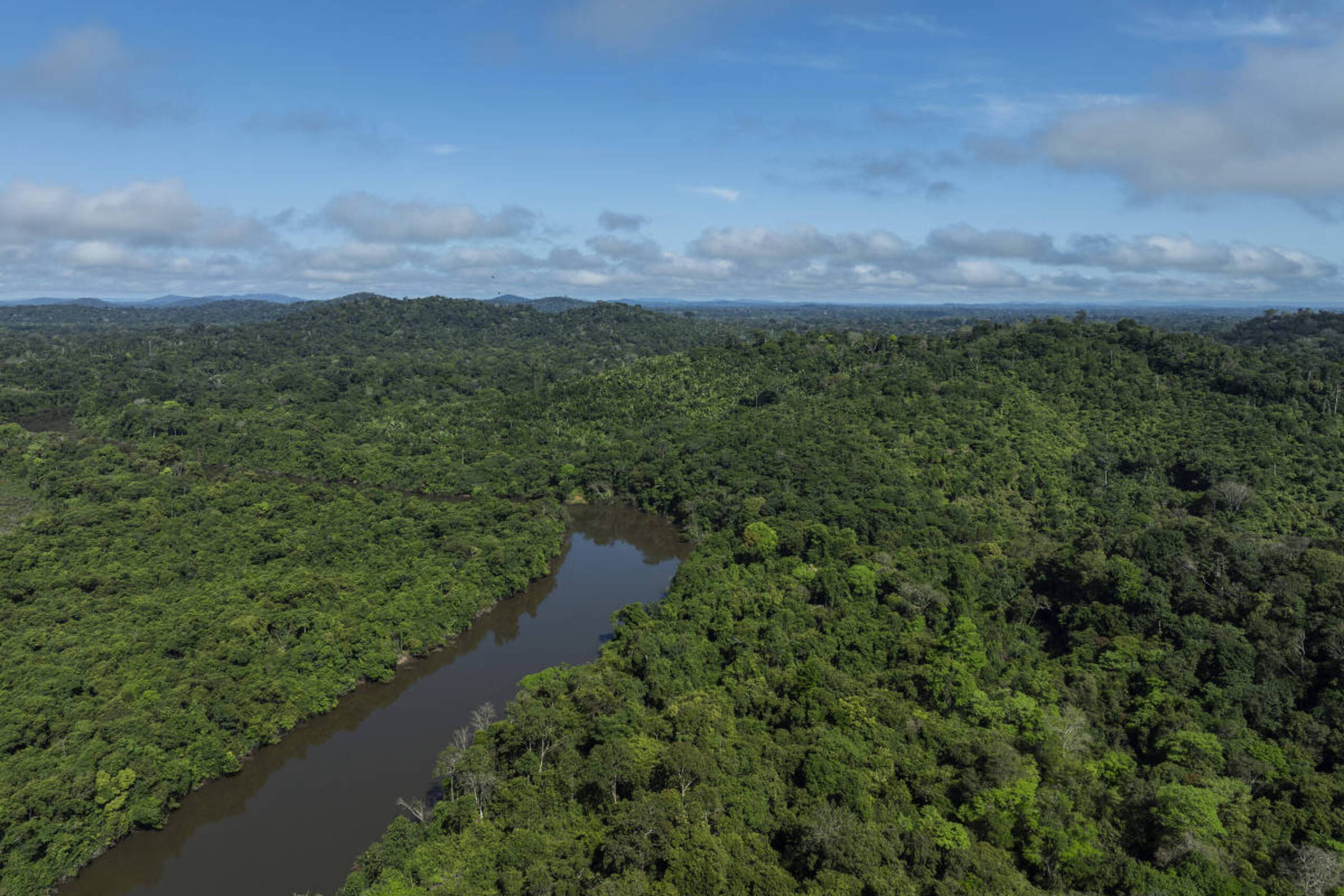 Amazônia registra queda no desmatamento em 2026, enquanto Cerrado tem alta e mantém níveis preocupantes