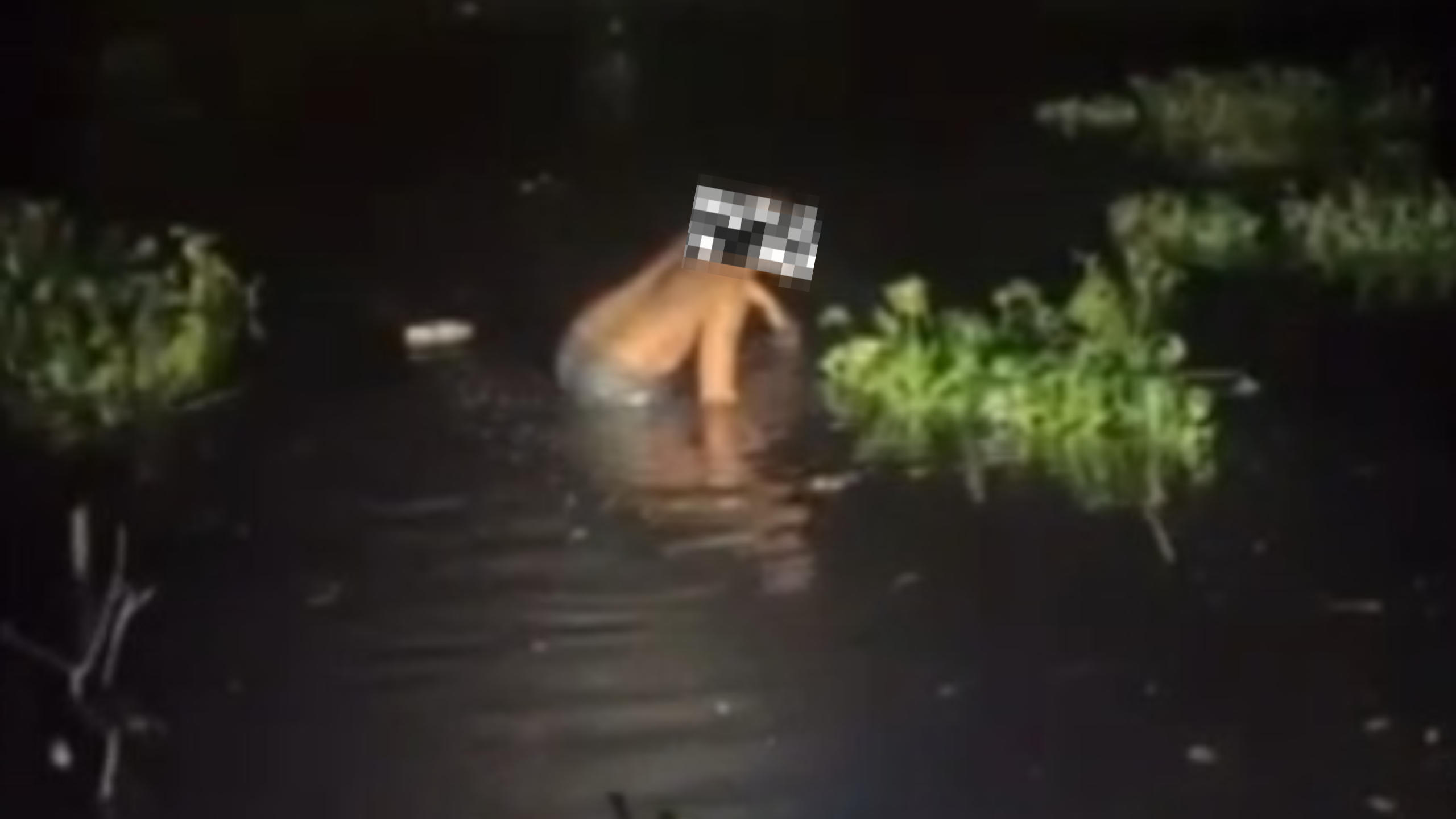 Vídeo: traficantes obrigam moradores a mergulhar em área pantanosa na Gardênia Azul