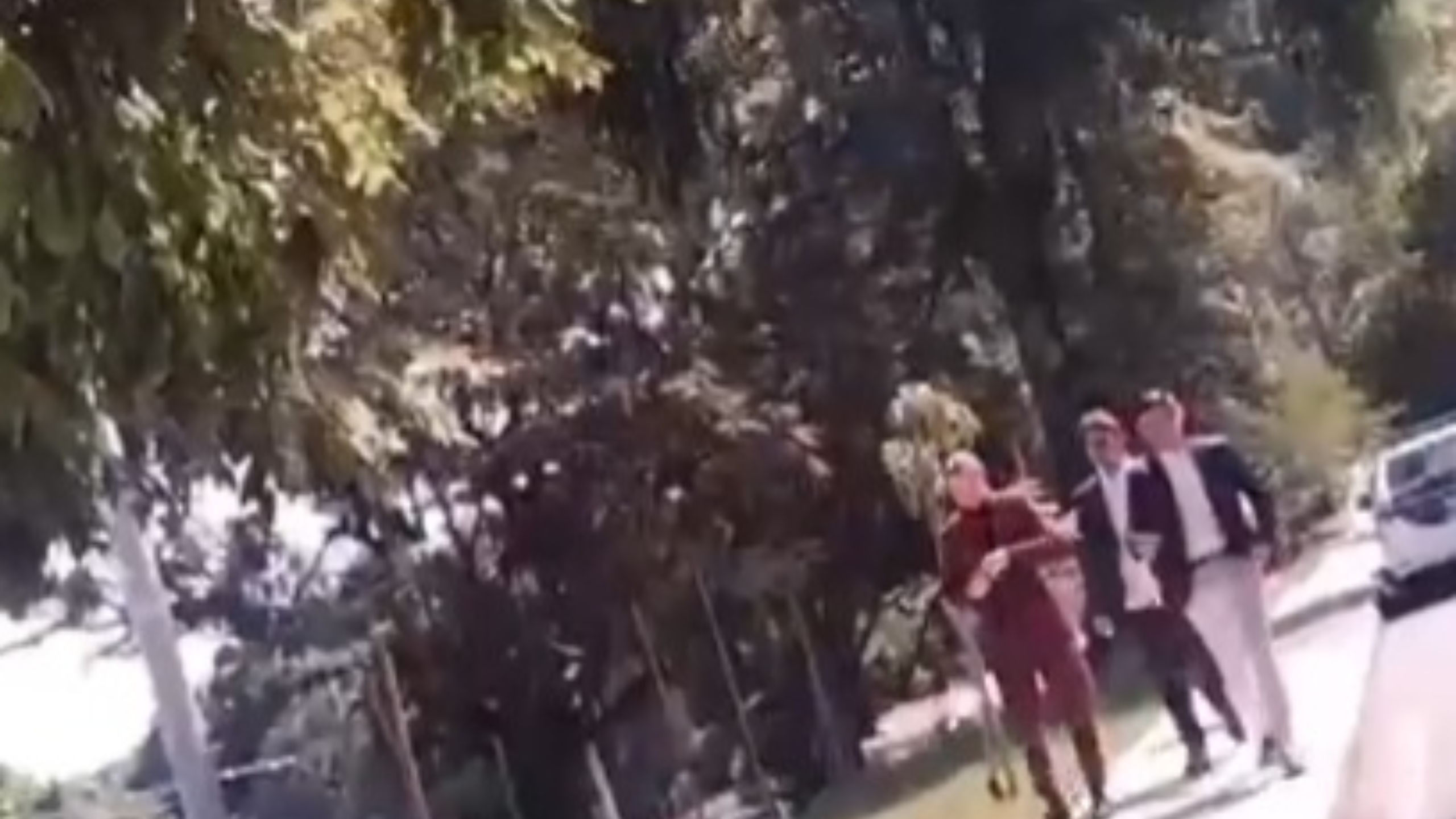 Uso de viatura da Polícia Civil em festa vira alvo de investigação em Niterói; vídeo