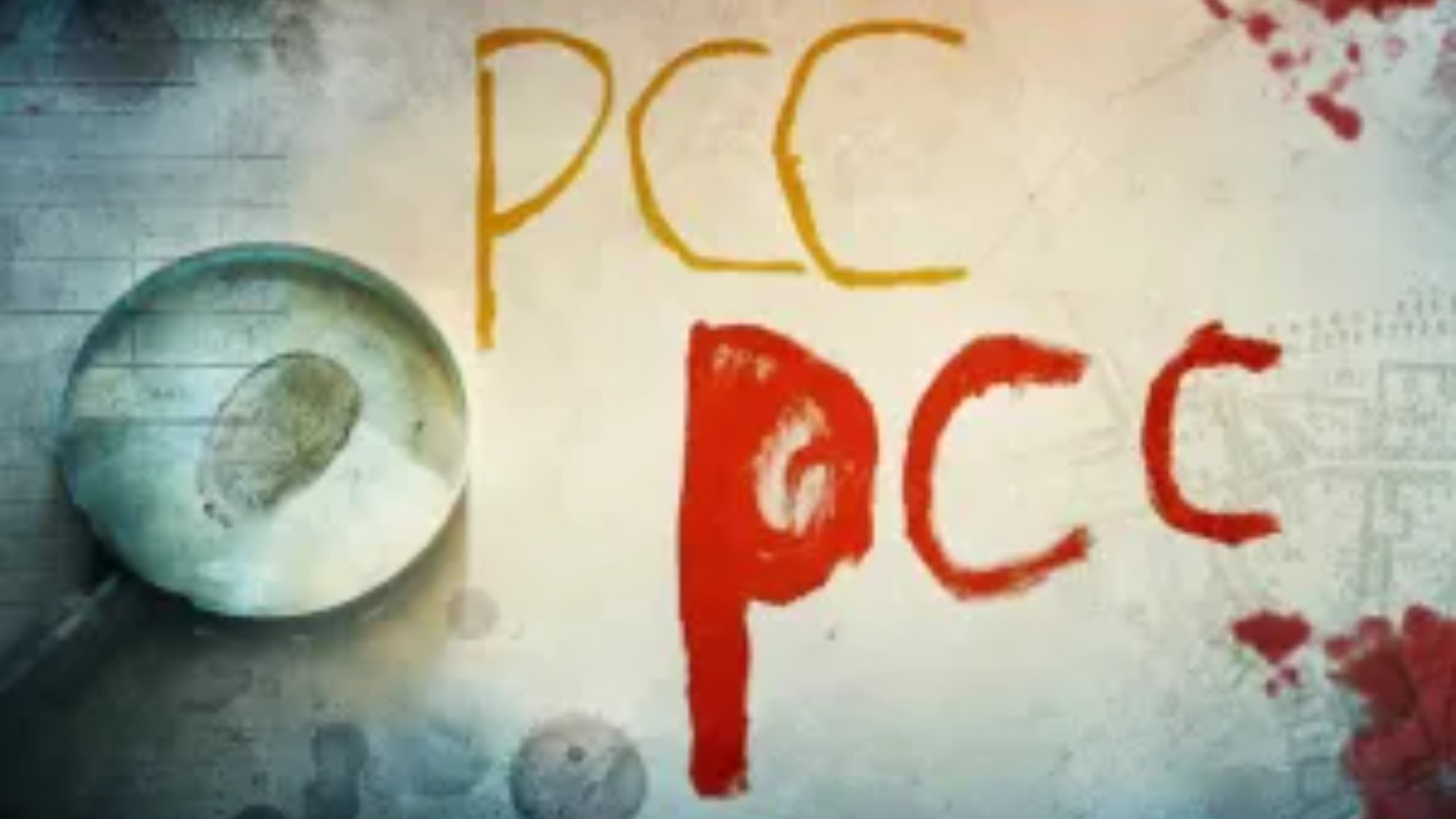 PCC amplia presença global e opera em quase 30 países, diz importante jornal americano