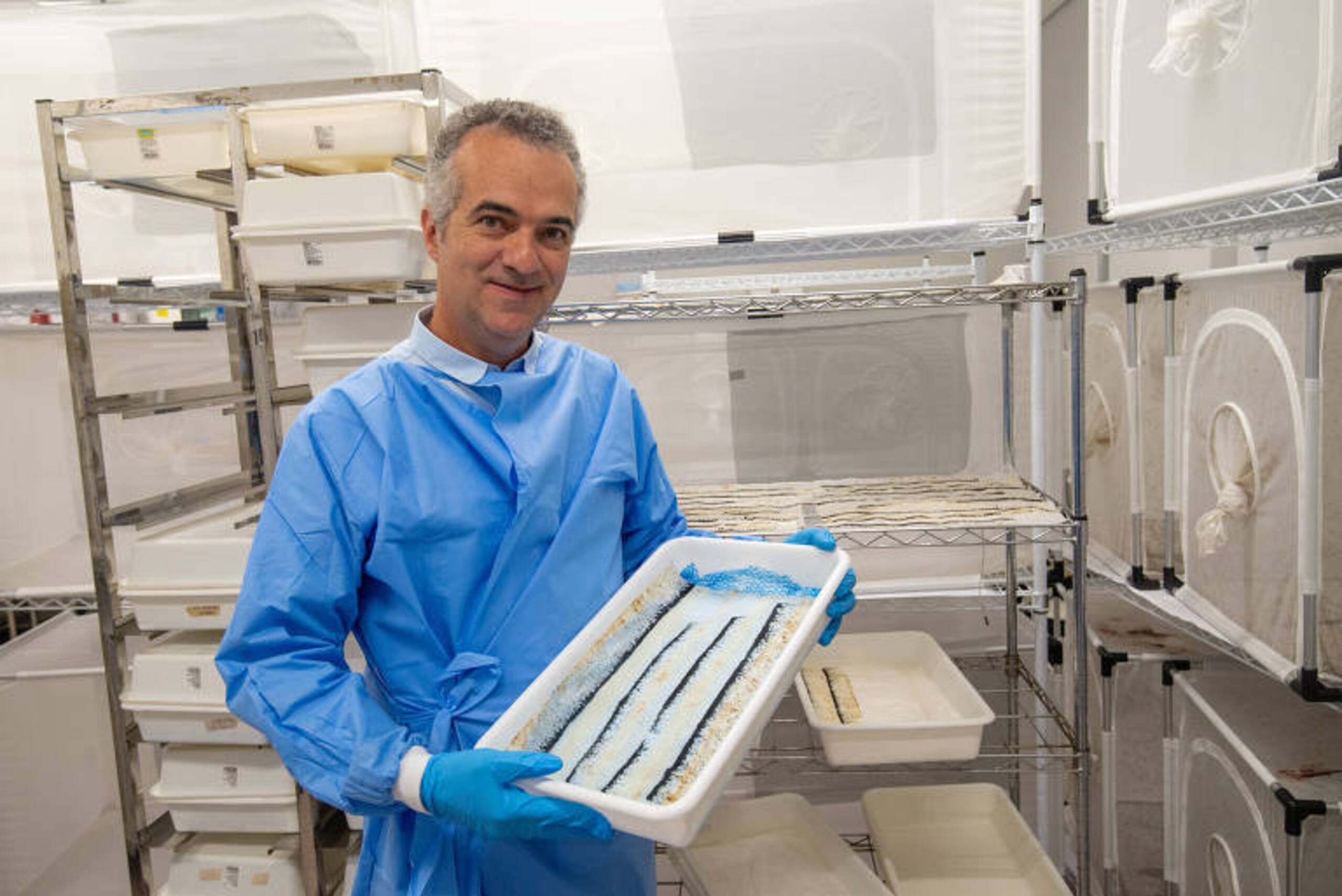 Cientista da Fiocruz que combate a dengue entra na lista da ‘Time’ como um dos mais influentes do mundo