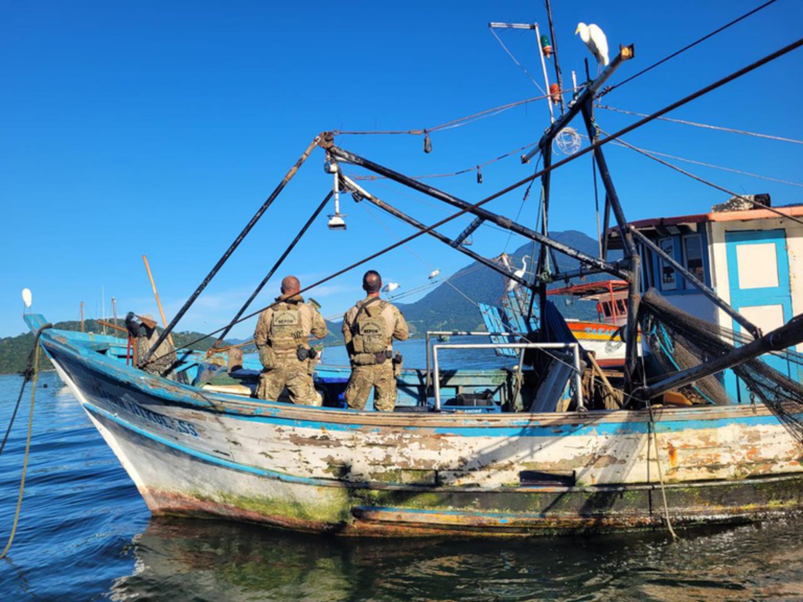 PF prende 4 por pesca ilegal e apreende 350 kg de camarão em Itaguaí