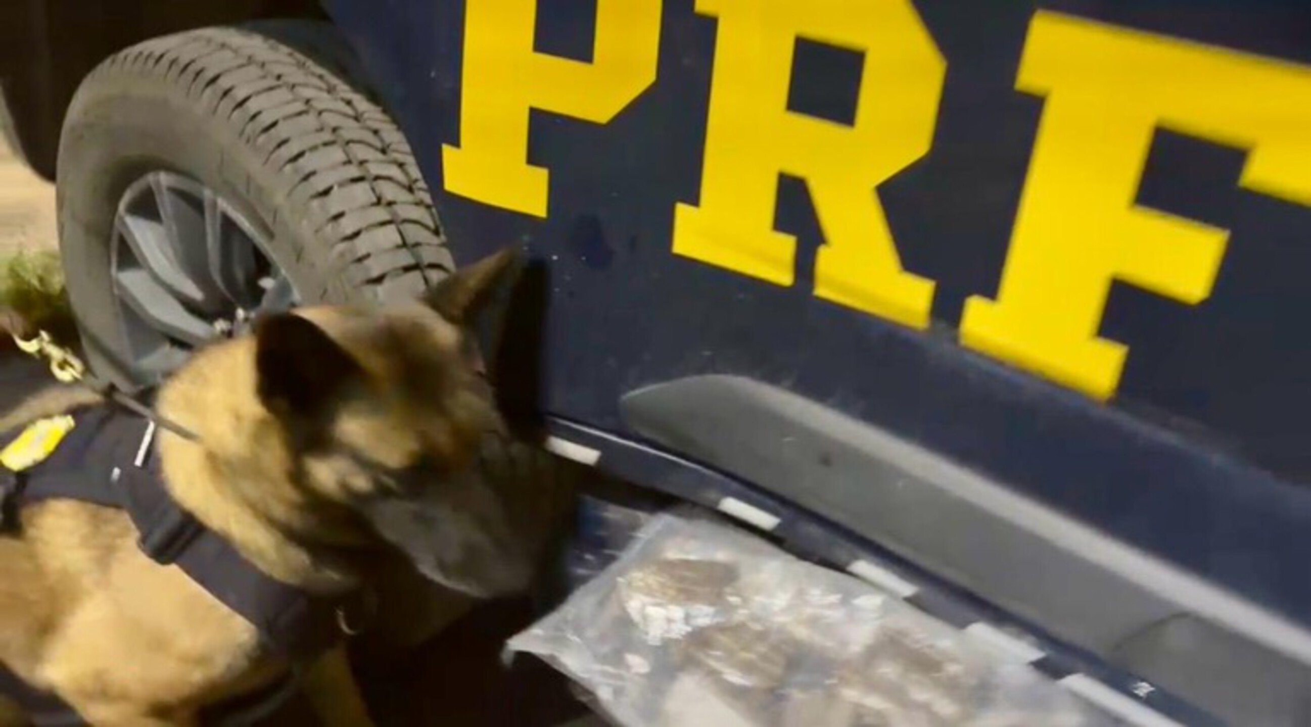 PRF reforça fiscalização no feriado de Tiradentes e apreende 4 kg de haxixe na Dutra