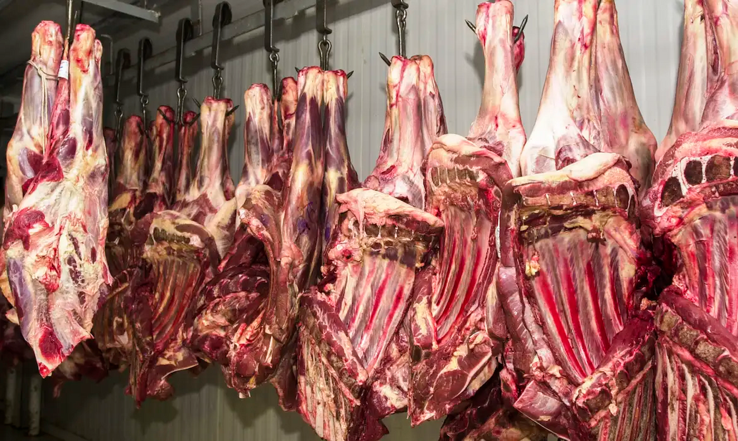 China suspende três frigoríficos brasileiros após detectar irregularidades sanitárias em cargas de carne