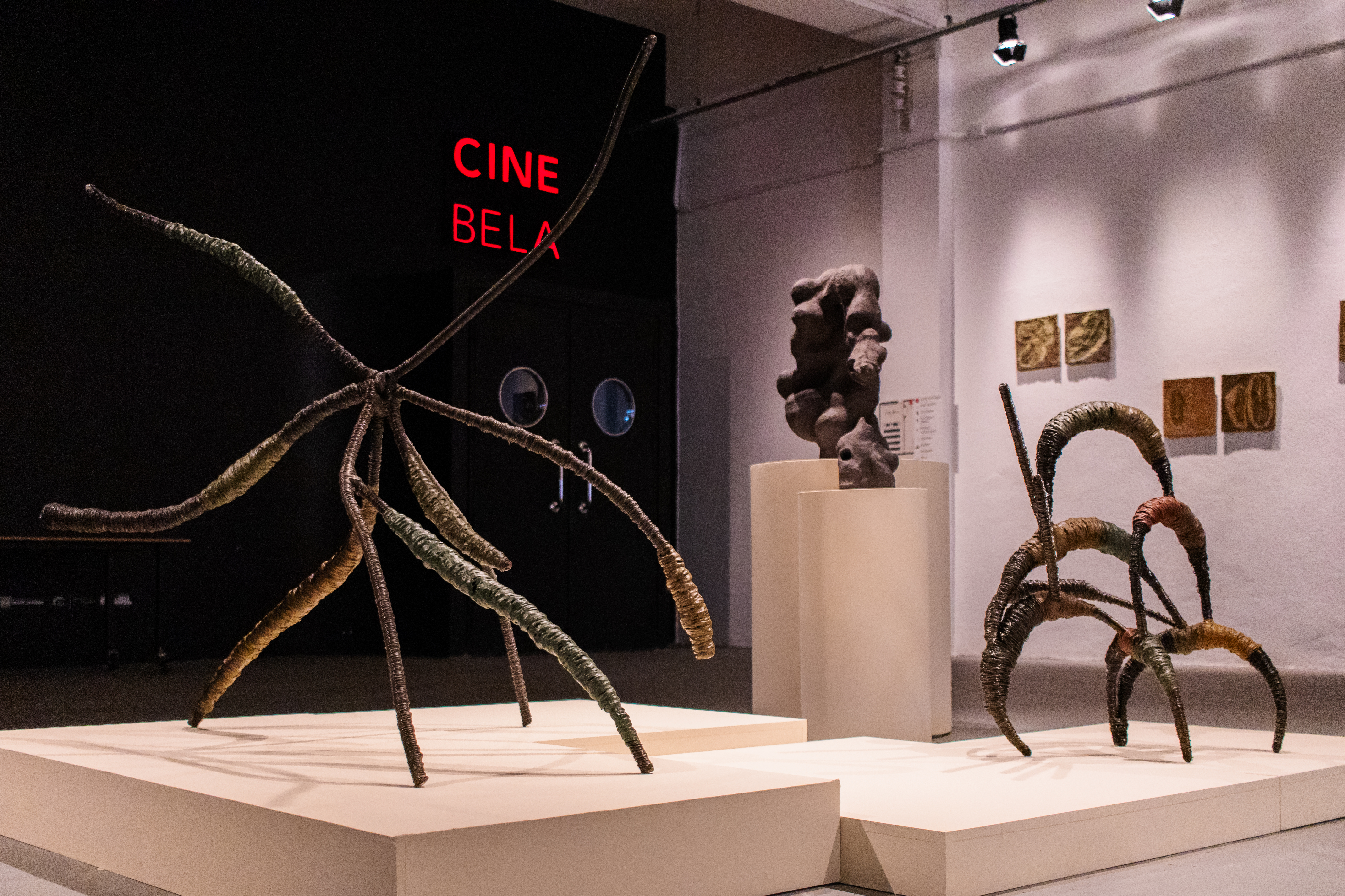 Cinema, arte contemporânea e debates ocupam o Galpão Bela Maré em junho