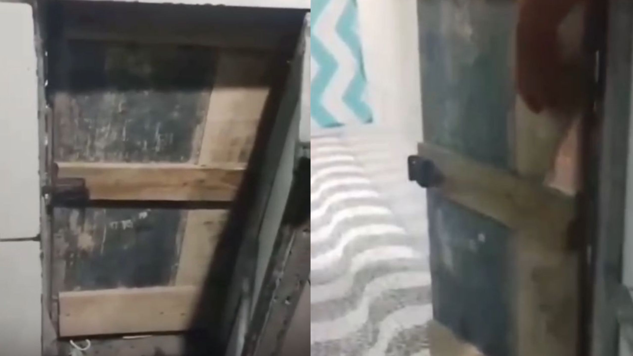 Presos abrem buraco em banheiro do Complexo de Bangu para relações sexuais com visitantes; vídeo