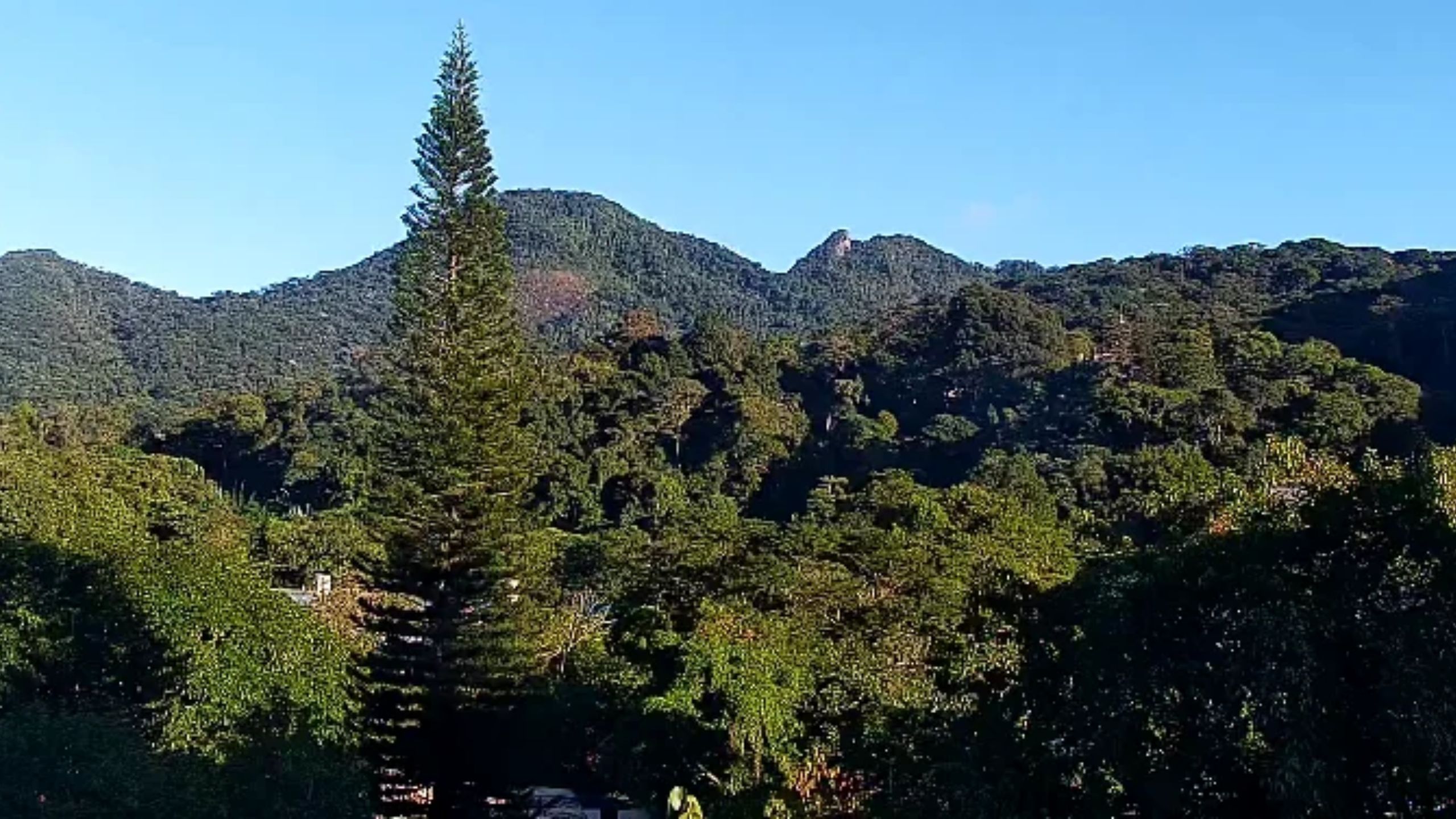 Com 13Cº, Rio registra a manhã mais fria do ano