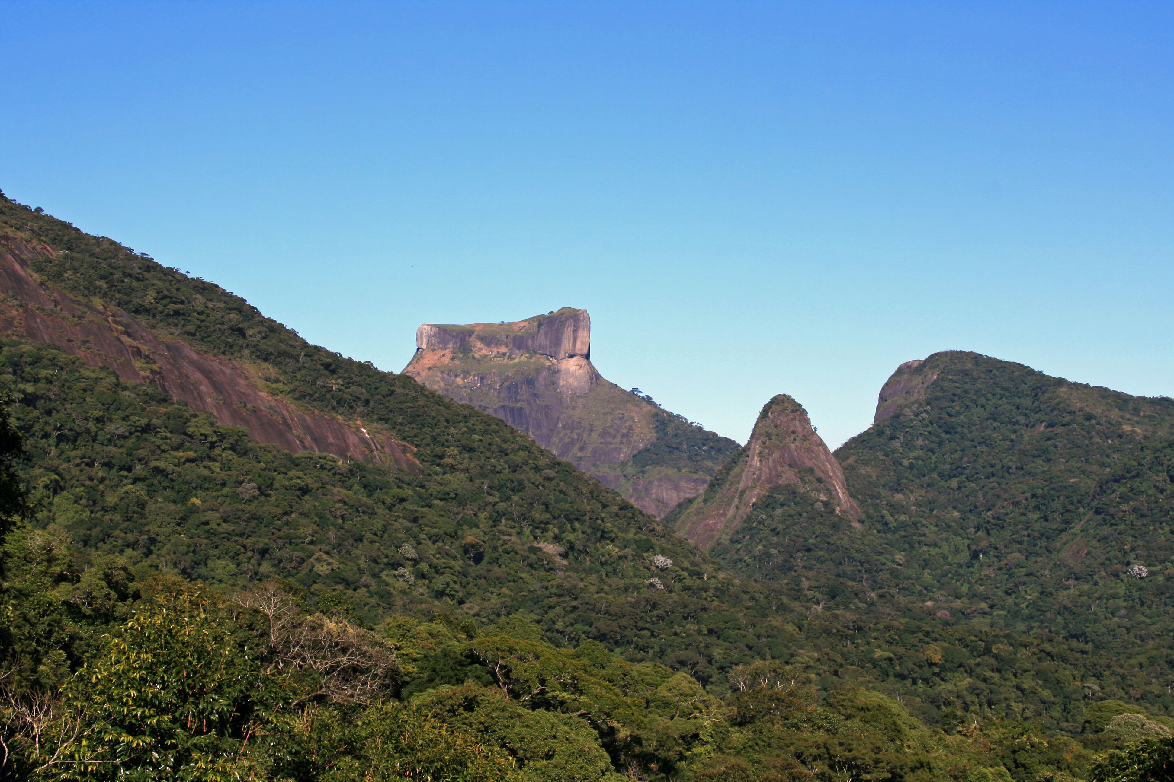 Parque da Tijuca bate recorde de visitantes e reforça ações para proteger a floresta do excesso de público
